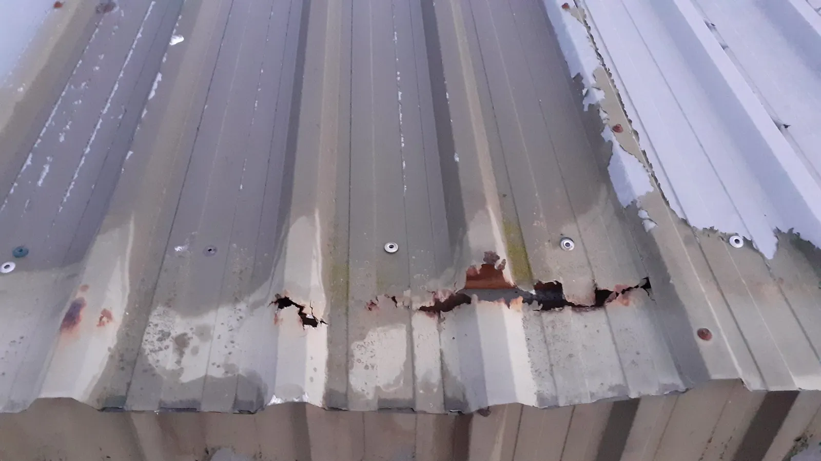 Signs your commercial roof needs repairs and what to do about it